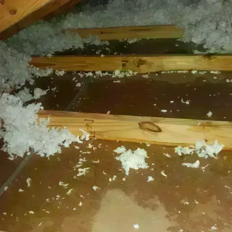 Attic Water Damage in Roosevelt, NY