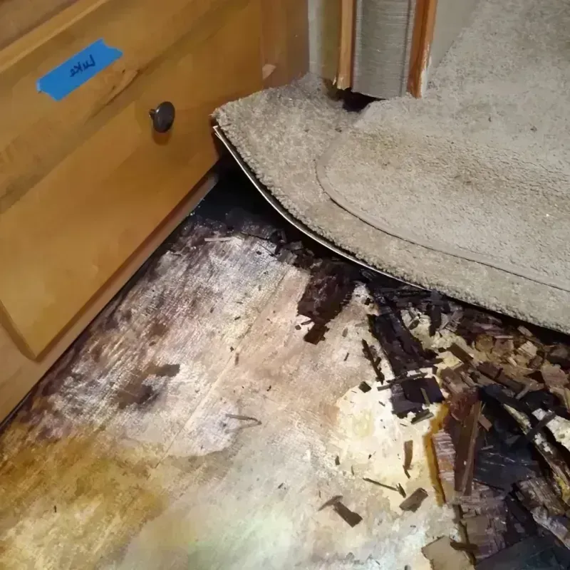 Best Wood Floor Water Damage Service in Roosevelt, NY